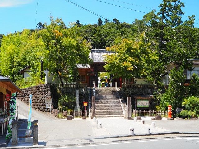 修善寺には観光できる所がいっぱい！食べ歩きもできたりおいしい飲食店もあります！