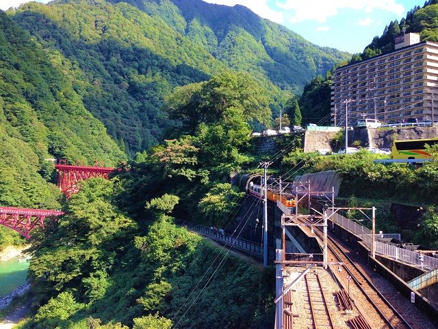 富山湾だけでも約500種もの魚がいるそう!!
「天然のいけす」と呼ばれているとか★