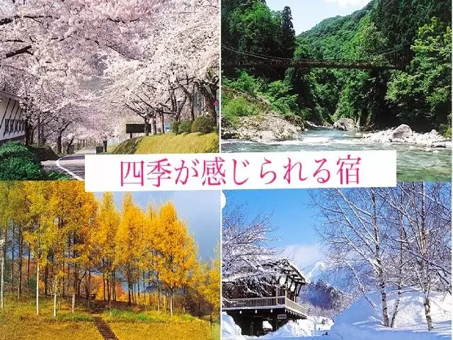四季折々の顔を楽しめるエリアなんですよ＊。
是非全制覇してほしいです(>< )