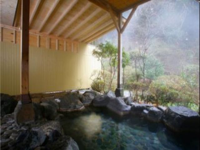 温泉も入れます！