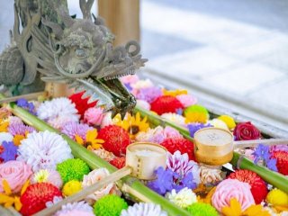 京都駅まで1時間！旅館の仲居のお仕事です♪