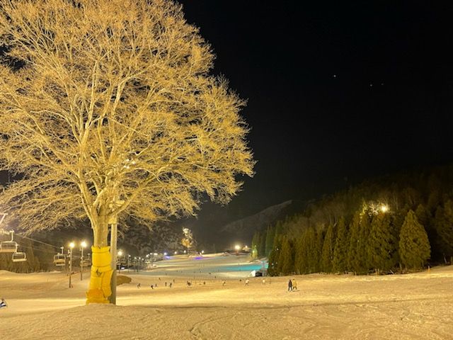 ナイター営業も今年もやります♪