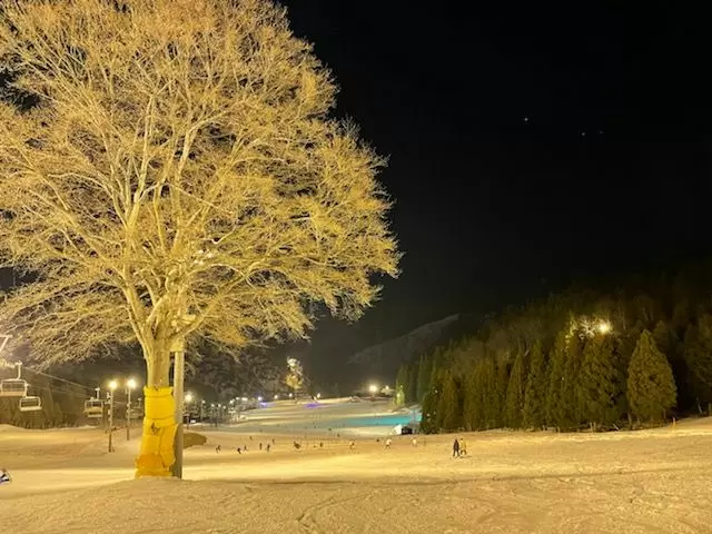 ナイター営業も今年もやります♪