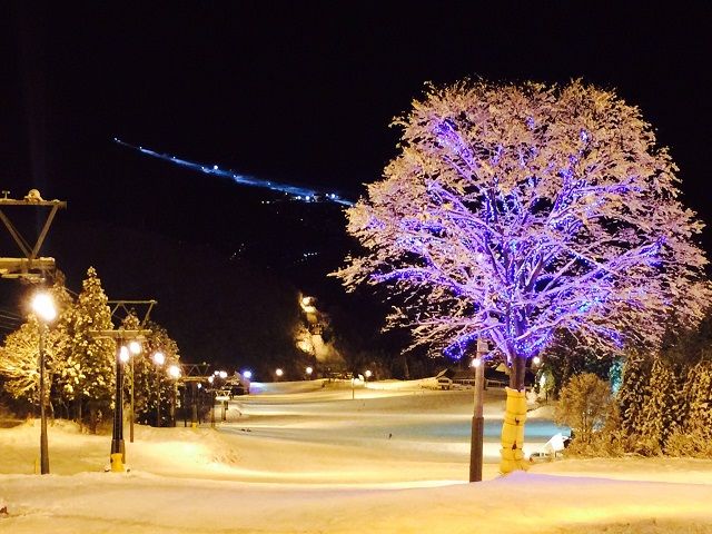 ナイター営業やってます♪