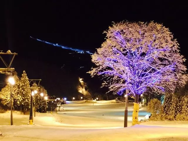 ナイター営業やってます♪