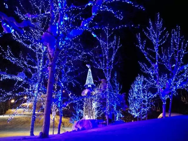 雪山のイルミネーション♪