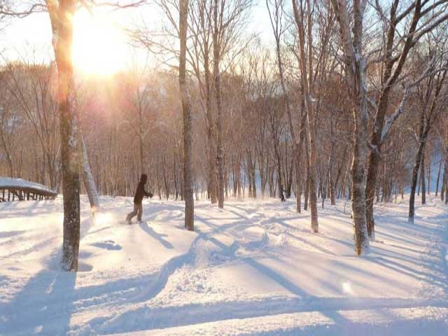 西日本最大級のスキー場です♪