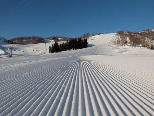 ツリーランも有り♪