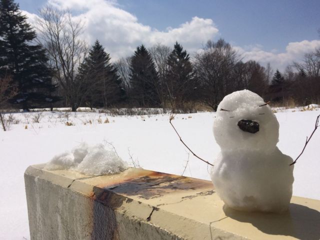 冬は雪も降ります！