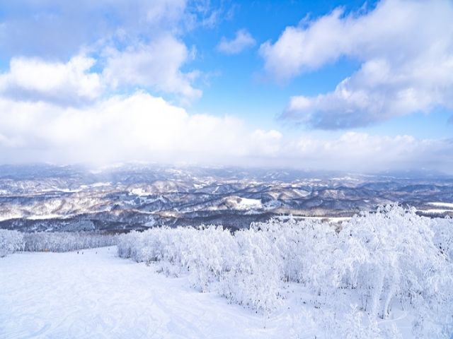 想い出もいっぱい作れちゃう☆
全国からたくさんの仲間が集まる巨大リゾートホテルです！