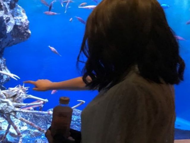 秋田県には水族館もあります！