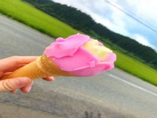 グルメも楽しんでください♪