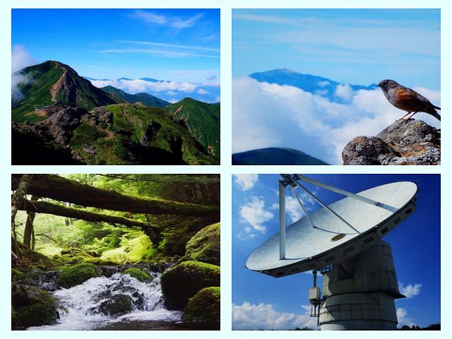 八ヶ岳は観光地・自然が沢山！！