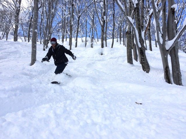 ふっかふかのパウダースノーが待っています★