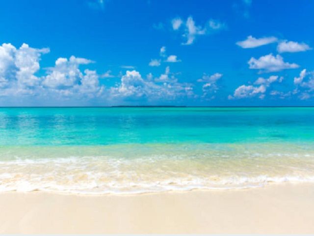 目の前の海は透明度がすごい！！