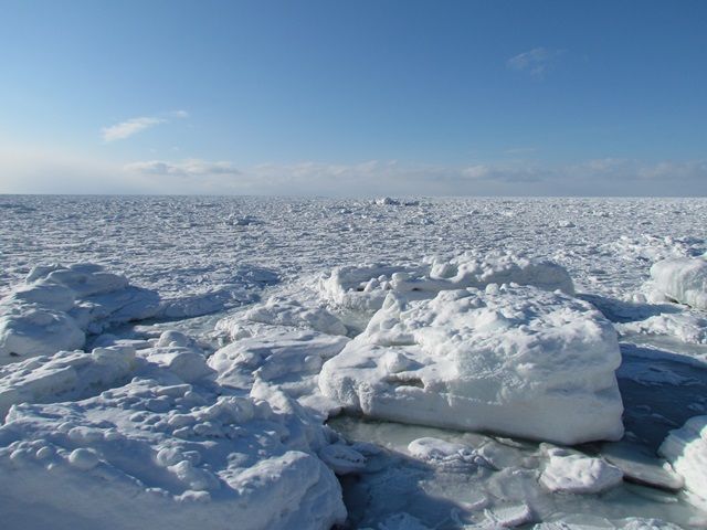 大迫力！流氷！！