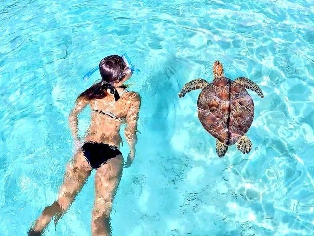 本当に絵になるくらいの圧巻のケラマブルーが広がっています♪