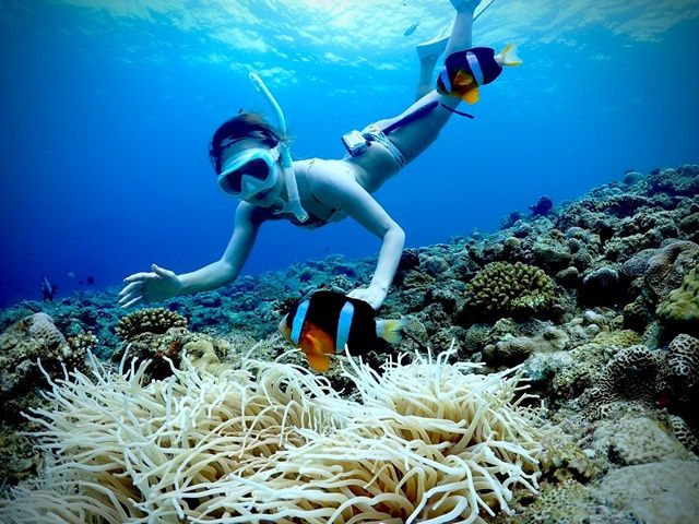 まるで水族館★石垣の海を堪能するシュノーケリングが人気！ツアーの予約受付・事務のお仕事♪