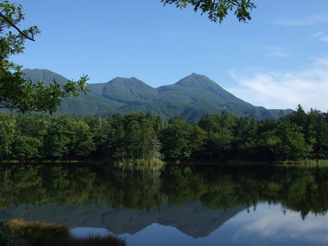 知床エリアは世界遺産の国立公園があり、神秘的な自然環境は魅力です！
