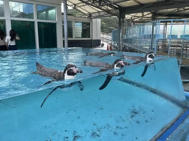鳥羽駅には”鳥羽水族館”もあります！！仕事・観光の両立できる求人ですよ♪オススメです☆