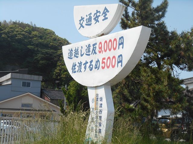 地方ならではの珍看板発見！！以外に佐渡スルメは安いようです！車の運転には気をつけましょう