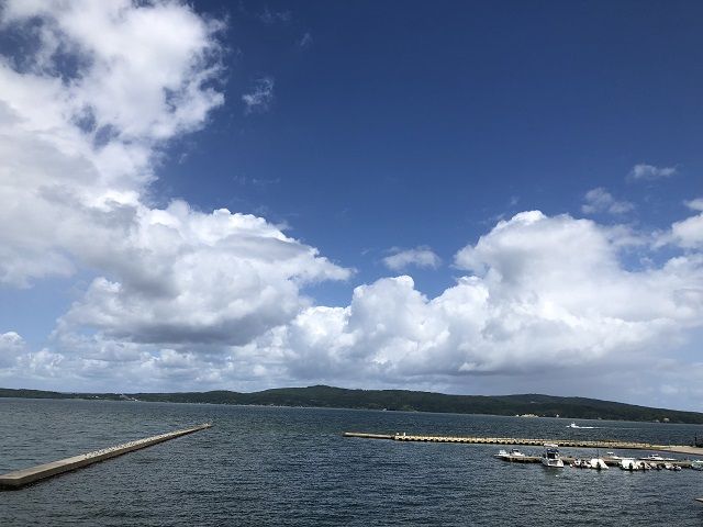 和倉温泉は、生活環境も便利ですが、自然豊かなエリアでもあります。
