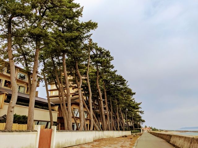 海の近くでお仕事できる人！！