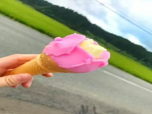 おいしい食べ物もいっぱいです☆