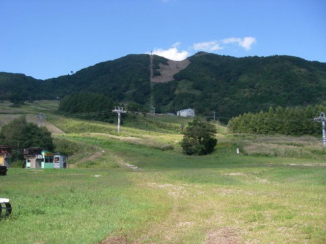 ハチ高原のお仕事になります☆
