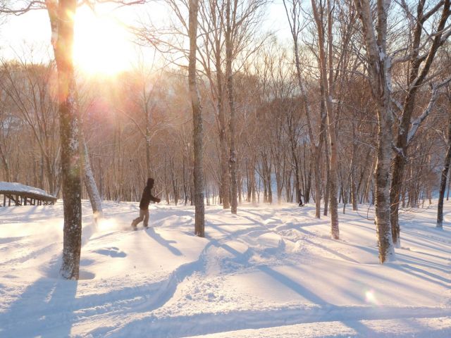 大人気のスキー場でのお仕事♪