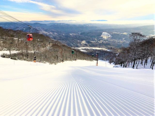 系列スキー場のパス券も貸与有♪