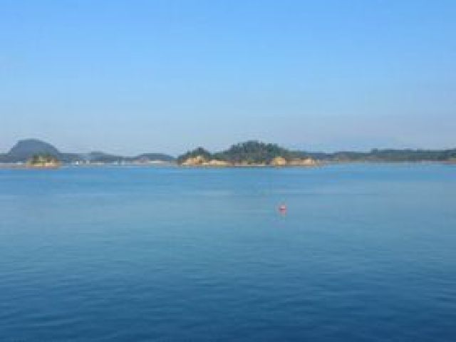 きれいな海♪イルカウォッチング、ダイビングなどもできますよ！