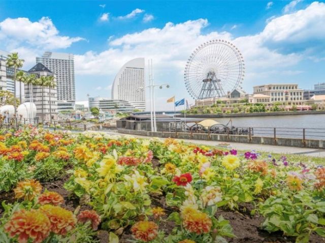 エリアは横浜の「みなとみらい」
近代的で誰もが羨む最高ランクの立地環境です