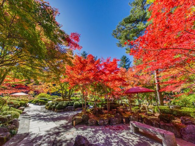 広大な敷地の日本庭園☆気分転換に散策すると四季の移ろいを肌で感じます☆