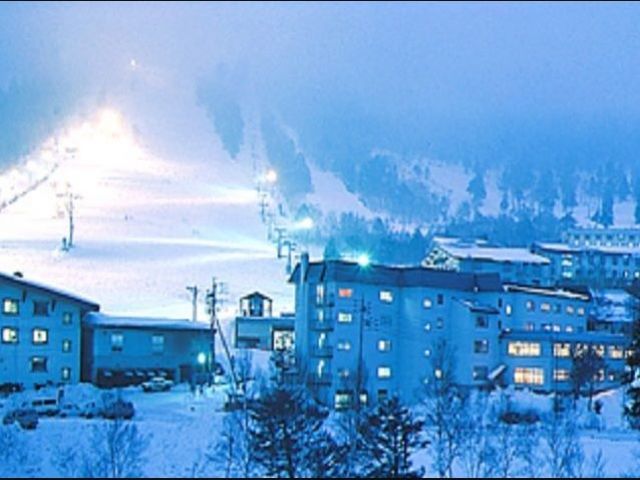 ウィンターのお仕事です！