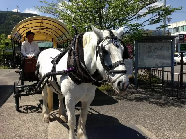 由布院での新着求人です♪出会いもたくさん☆