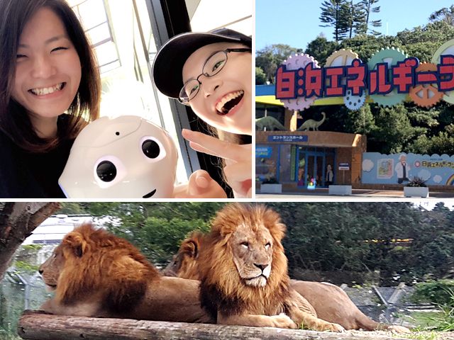 仕事も観光も刺激的です！