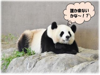 友人同士大歓迎！！！最大4人組まで来てくれました♪