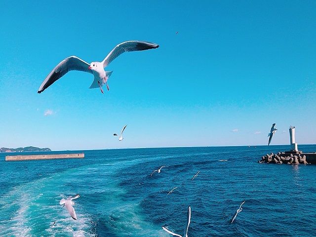 離島でリゾートアルバイトしませんか？休日はみんなでホテルでランチをすることも？？？
