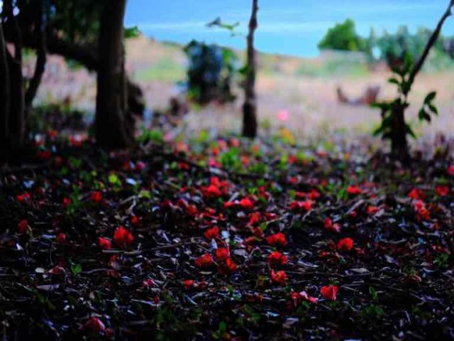 ☆映えるスポットがも見つかるかも…☆