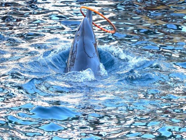 休日は城崎マリンワールドへ!!