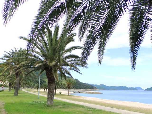 ハワイ感満載ですよ☆