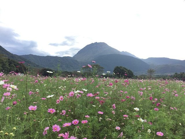 少し歩けば大自然が広がります！