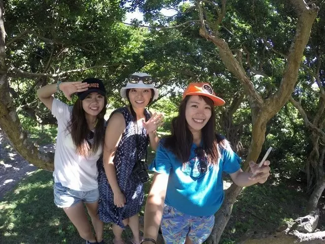 〔近くの観光地③〕フクギ並木道♪美ら海水族館近くの観光スポット。水牛に乗って観光することも