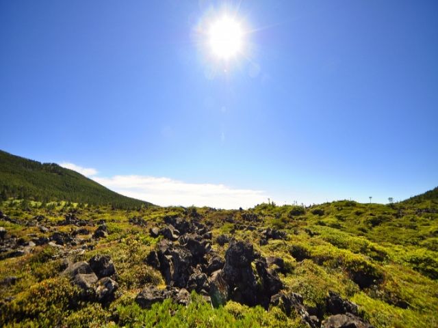 景色が良く写真映え！雲海も見れるチャンスはこのエリアです！