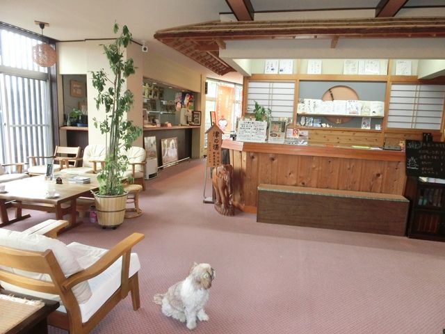 昔懐かしい雰囲気の旅館です。