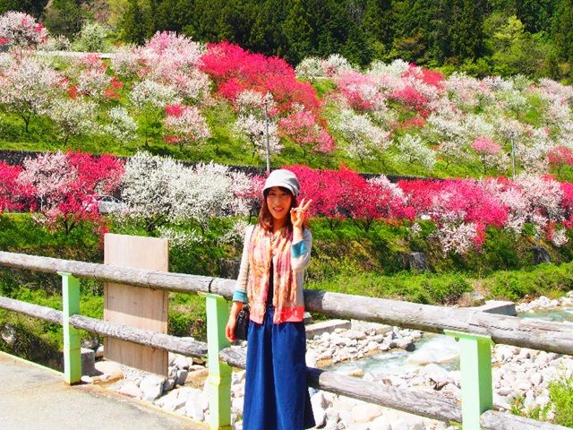 ≪春リゾバ≫桜の”花もも”と”日本一の星空”が有名な昼神温泉！働きやすい職場でオススメ☆