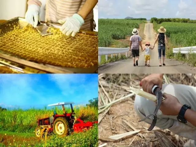 この時期限定の珍しいお仕事♪沖縄感・・・満載です!!!