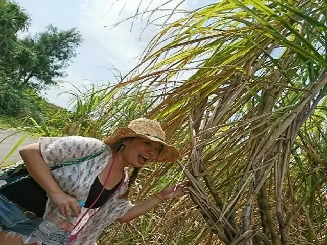 シュガーロードも写真映えスポットになりますね(^^♪