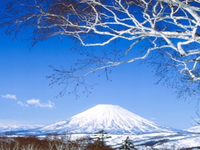 全37コース！全道一の巨大スキーリゾート！！